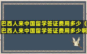 巴西人来中国留学签证费用多少（巴西人来中国留学签证费用多少啊）