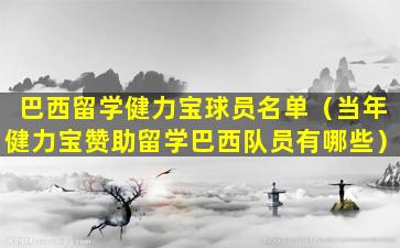 巴西留学健力宝球员名单（当年健力宝赞助留学巴西队员有哪些）