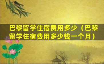 巴黎留学住宿费用多少（巴黎留学住宿费用多少钱一个月）