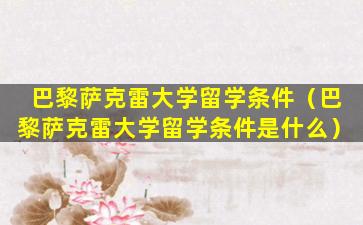 巴黎萨克雷大学留学条件（巴黎萨克雷大学留学条件是什么）