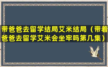 带爸爸去留学结局艾米结局（带着爸爸去留学艾米会坐牢吗第几集）