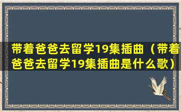 带着爸爸去留学19集插曲（带着爸爸去留学19集插曲是什么歌）