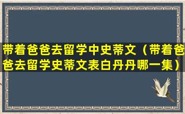 带着爸爸去留学中史蒂文（带着爸爸去留学史蒂文表白丹丹哪一集）