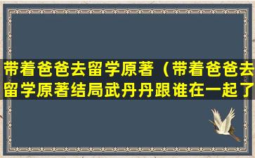 带着爸爸去留学原著（带着爸爸去留学原著结局武丹丹跟谁在一起了吗）