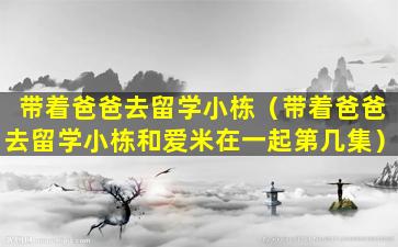带着爸爸去留学小栋（带着爸爸去留学小栋和爱米在一起第几集）
