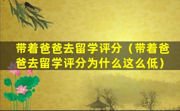 带着爸爸去留学评分（带着爸爸去留学评分为什么这么低）
