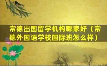 常德出国留学机构哪家好（常德外国语学校国际班怎么样）