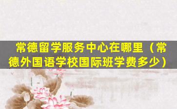 常德留学服务中心在哪里（常德外国语学校国际班学费多少）