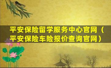 平安保险留学服务中心官网（平安保险车险报价查询官网）