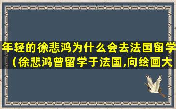年轻的徐悲鸿为什么会去法国留学（徐悲鸿曾留学于法国,向绘画大师学画什么）