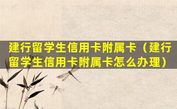 建行留学生信用卡附属卡（建行留学生信用卡附属卡怎么办理）