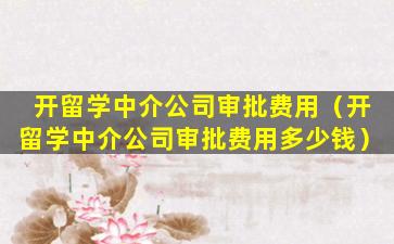 开留学中介公司审批费用（开留学中介公司审批费用多少钱）
