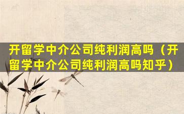 开留学中介公司纯利润高吗（开留学中介公司纯利润高吗知乎）