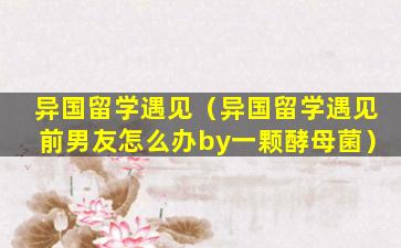 异国留学遇见（异国留学遇见前男友怎么办by一颗酵母菌）