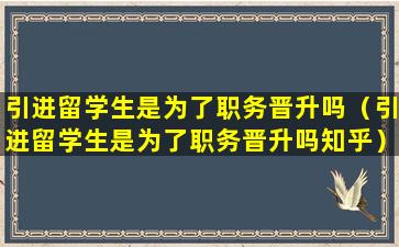 引进留学生是为了职务晋升吗（引进留学生是为了职务晋升吗知乎）