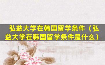 弘益大学在韩国留学条件（弘益大学在韩国留学条件是什么）