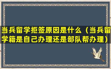 当兵留学拒签原因是什么（当兵留学籍是自己办理还是部队帮办理）