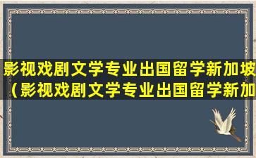 影视戏剧文学专业出国留学新加坡（影视戏剧文学专业出国留学新加坡好就业吗）