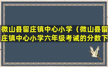 微山县留庄镇中心小学（微山县留庄镇中心小学六年级考诫的分数下来了吗）