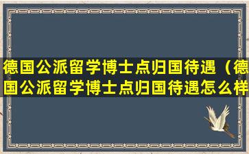 德国公派留学博士点归国待遇（德国公派留学博士点归国待遇怎么样）