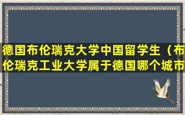 德国布伦瑞克大学中国留学生（布伦瑞克工业大学属于德国哪个城市）