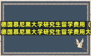 德国慕尼黑大学研究生留学费用（德国慕尼黑大学研究生留学费用大概多少）