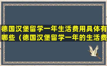 德国汉堡留学一年生活费用具体有哪些（德国汉堡留学一年的生活费）