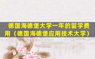 德国海德堡大学一年的留学费用（德国海德堡应用技术大学）