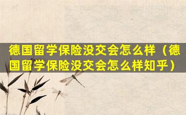 德国留学保险没交会怎么样（德国留学保险没交会怎么样知乎）