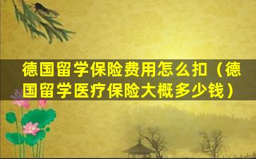 德国留学保险费用怎么扣（德国留学医疗保险大概多少钱）