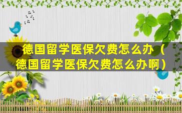 德国留学医保欠费怎么办（德国留学医保欠费怎么办啊）