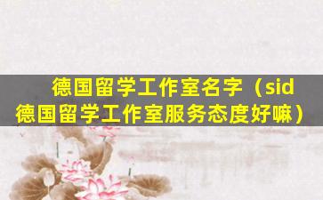 德国留学工作室名字（sid德国留学工作室服务态度好嘛）