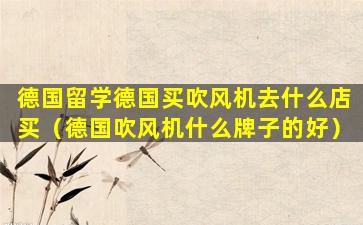 德国留学德国买吹风机去什么店买（德国吹风机什么牌子的好）