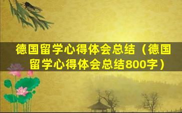 德国留学心得体会总结（德国留学心得体会总结800字）