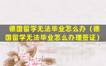 德国留学无法毕业怎么办（德国留学无法毕业怎么办理签证）