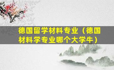 德国留学材料专业（德国材料学专业哪个大学牛）