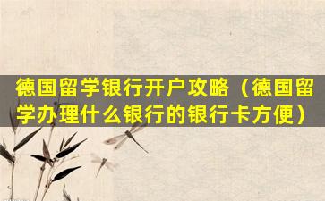 德国留学银行开户攻略（德国留学办理什么银行的银行卡方便）