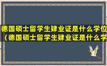 德国硕士留学生肄业证是什么学位（德国硕士留学生肄业证是什么学位类型）