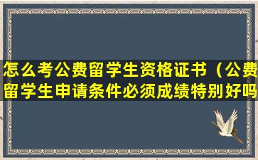 怎么考公费留学生资格证书（公费留学生申请条件必须成绩特别好吗）