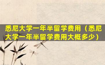 悉尼大学一年半留学费用（悉尼大学一年半留学费用大概多少）