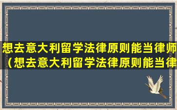 想去意大利留学法律原则能当律师（想去意大利留学法律原则能当律师吗知乎）