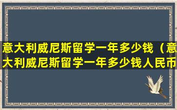 意大利威尼斯留学一年多少钱（意大利威尼斯留学一年多少钱人民币）