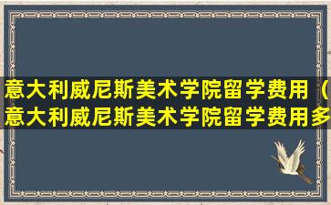 意大利威尼斯美术学院留学费用（意大利威尼斯美术学院留学费用多少钱）