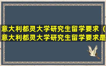 意大利都灵大学研究生留学要求（意大利都灵大学研究生留学要求是什么）
