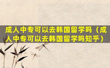成人中专可以去韩国留学吗（成人中专可以去韩国留学吗知乎）