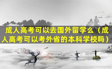 成人高考可以去国外留学么（成人高考可以考外省的本科学校吗）