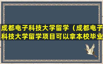 成都电子科技大学留学（成都电子科技大学留学项目可以拿本校毕业证吗）