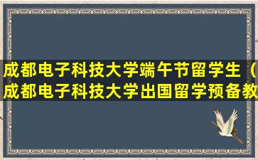 成都电子科技大学端午节留学生（成都电子科技大学出国留学预备教育中心）