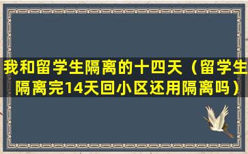我和留学生隔离的十四天（留学生隔离完14天回小区还用隔离吗）