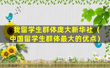 我留学生群体庞大新华社（中国留学生群体最大的优点）